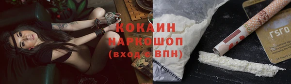 крисы Алексин