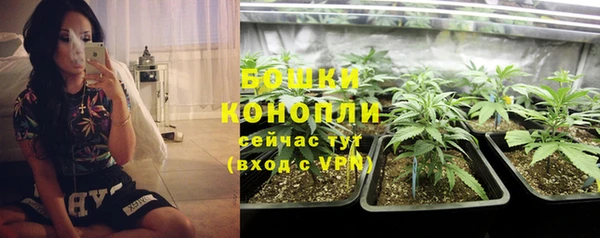 шишки Алзамай